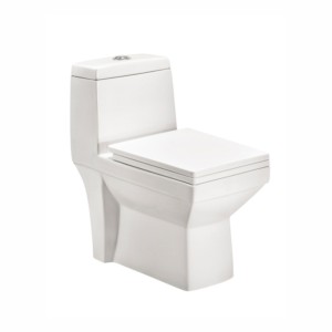 Cera Cona 685x360x720mm S Trap 225mm One Piece EWC with Slim Soft Close Seat Cover and twin Flush fittings Snow White