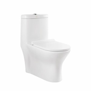Cera Chile 690x380x780mm S Trap 285mm One Piece EWC with Soft Close Seat Cover and Twin flush Fittings Snow White