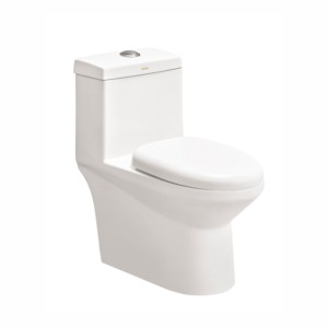 Cera Ceta 670x360x720mm S Trap 220mm One Piece EWC with Soft Close Seat Cover and Twin Flush fittings Snow White