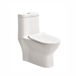 Cera Cadre 690x360x760mm S Trap 220mm One Piece EWC with Slim Soft Close Seat cover and Twin Flush Fittings Snow White