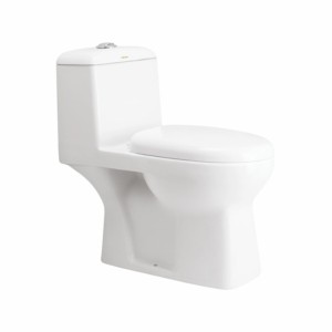 Cera Champ 695x350x695mm P Trap One piece EWCs with Soft Close seat cover and twin flush fittings Snow White