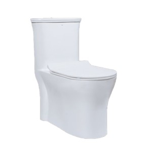 Rak Victoria 700x425x780 S Trap 220mm 4D Rimless One Piece Floor Mounted Water Closet with Soft Close Seat Cover White
