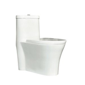 Eauset Alpine 690x380x770mm S Trap 220mm Siphonic Flush White One Piece Water Closet with PP Seat Cover