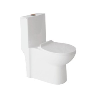 Eauset Alps 650x360x745mm S Trap 220mm Tornado Star White One Piece Water Closet with Seat Cover