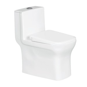 Eauset Alcora 645x365x730mm S Trap 220mm White One Piece Water Closet with PP Seat Cover