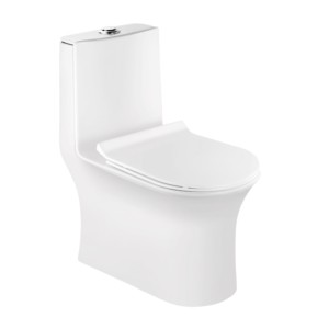Eauset Azura 655x360x736mm S Trap 220mm Siphonic Flush White One Piece Water Closet with PP Seat Cover