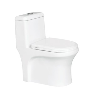 Eauset Blizz 660x360x735mm S Trap 220mm White One Piece Water Closet with PP Seat Cover