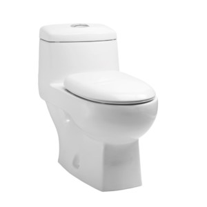 Eauset Canora 705x380x660mm S Trap 220mm White One Piece Water Closet with Seat Cover