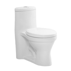 Eauset Dena 610x320x710mm S Trap 220mm Siphonic Flush Star White One Piece Water Closet with Seat Cover