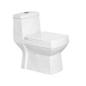 Eauset Etina 675x360x710mm S Trap 200mm Siphonic Flush Star White One Piece Water Closet with Seat Cover