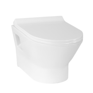 Eauset Fuji 510x355x300 White Wall Hung Water Closet with UF Seat Cover