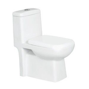 Eauset Montana 660x360x735mm P Trap 180mm White One Piece Water Closet with PP Seat Cover