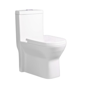 Eauset Olympus 690x375x785mm S Trap 100mm Siphonic Flush White One Piece Water Closet with PP Seat Cover