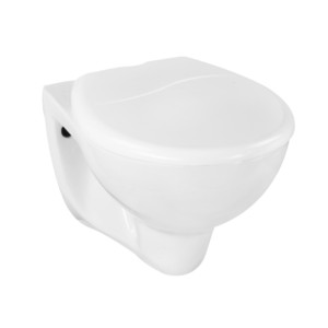 Eauset Rio 500x355x320 White Wall Hung Water Closet with Seat Cover