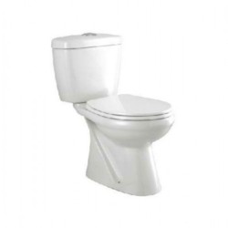 Parryware Bristol N 700x390x775mm S-220 White floor mounted coupled closet with Soft Close Seat Cover and C0760 Dual Flush Cistern