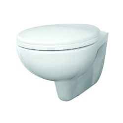 Parryware Cute 480x360x350mm White Wall Hung Water Closet with Soft Close Seat Cover
