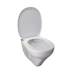 Parryware Angel 485x355x355mm White Wall Hung Water Closet with regular seat cover
