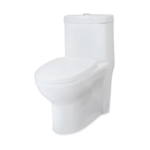 Somany Capri 360x665x775mm S-Trap 220mm Syphonic Rimless One Piece Water Closet with Tornado Flush