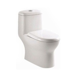 Parryware Prince 640x355x695mm S-110 White One Piece Water Closet