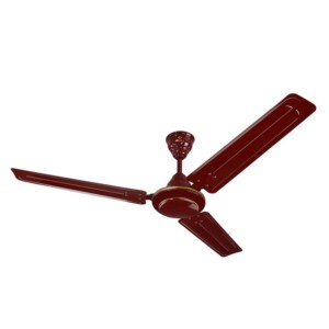 Bajaj Tezz 1200mm Brown Sub Economy Ceiling Fan