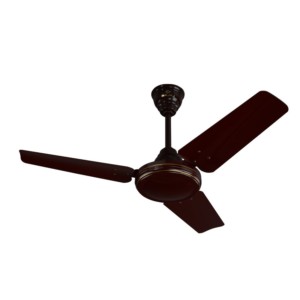 Bajaj Speedster 900mm Brown Economy Ceiling Fan