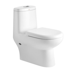 Cera Citrus S Trap 655x370x730 Snow White One Piece Water Closet with Soft close seat cover and twin flush