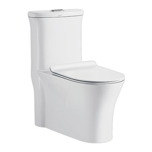 Cera Clang S Trap 700x430x770 Snow White One Piece Water Closet with Duroplast slim seat cover and twin 4D flush