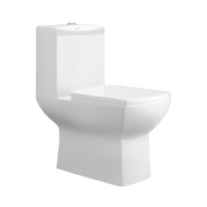 Cera Clayton S Trap 660x365x765 Snow White One Piece Water Closet with Soft close seat cover and twin flush