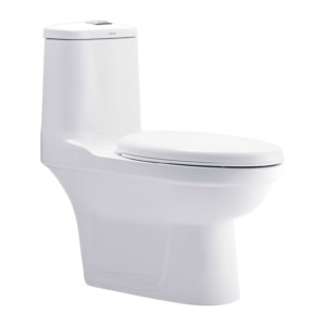 Cera Cruse S Trap 710x370x770 Snow White One Piece Water Closet with Bidet seat cover and twin flush