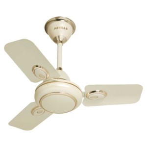 Havells Fusion 600mm Pearl Ivory-Gold Decorative Ceiling Fan