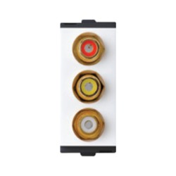 Larsen & Toubro Englaze Data Sockets RCA Connector 1M Snow White