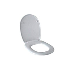 Parryware Durasheen Warm Soft Close Seat Cover