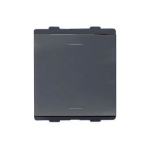 Larsen & Toubro Englaze Switch 16 AX 2-Way 2M Mountain Grey