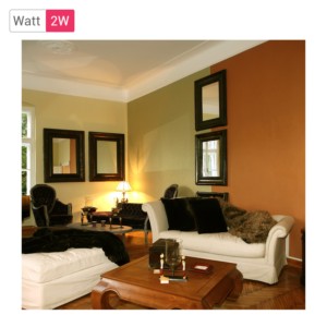 Havells LED Filament Lamp 2W A45WW E14