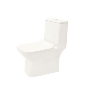 Somany Frame 350x660x760mm S-Trap 220 Syphonic Rimless One Piece Water Closet 