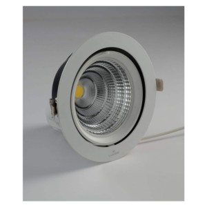 Luker Cob Light 30W