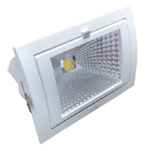 Luker Zoom Light 50W