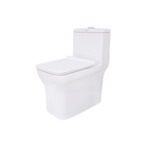 Somany Marina 345x510x362mm S-Trap 220mm One Piece Water Closet With Wash Down Flush