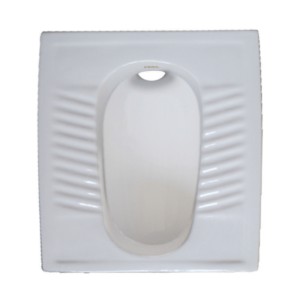 Cera Cov 510x400 Snow White Orissa Pan OR