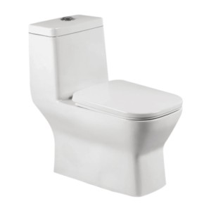 Johnson western toilet deals price