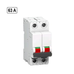 Rolta 63A Double Pole Isolator Switch Disconnector (9964)