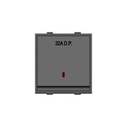 Rolta Wow 32A DP Dura 2M Space Grey Switch with Indicator