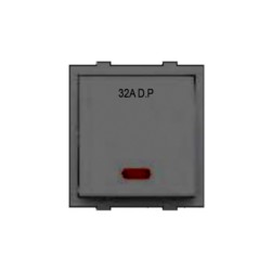 Rolta Deluxe 32A DP Dura 2M Space Grey Switch with Indicator