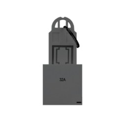 Rolta 32A DP Main Switch + Key Tag Space Grey