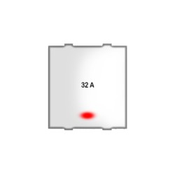 Rolta Roltaplus 32A DP Dura 2M Glossy White Switch with Indicator