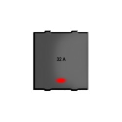 Rolta Roltaplus 32A DP Dura 2M Space Grey Switch with Indicator