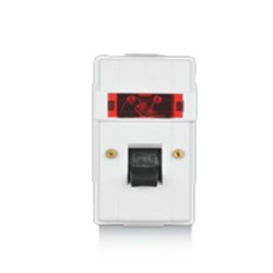 Rolta 32A Enclosed DP 240V Switch with Neon Indicator
