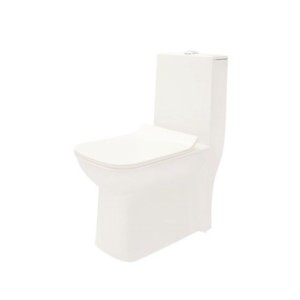 Somany Solv 360x670x750mm S-Trap 220 Syphonic Rimless 5D One Piece Water Closet With Tornado Flush