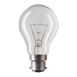 Philips Standard Incandescent 100 W Bulb