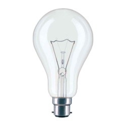 Philips Standard Incandescent 25 W Bulb
